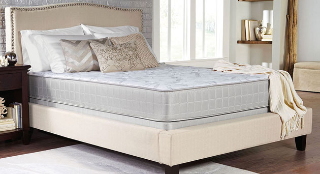 Plush Queen Mattress